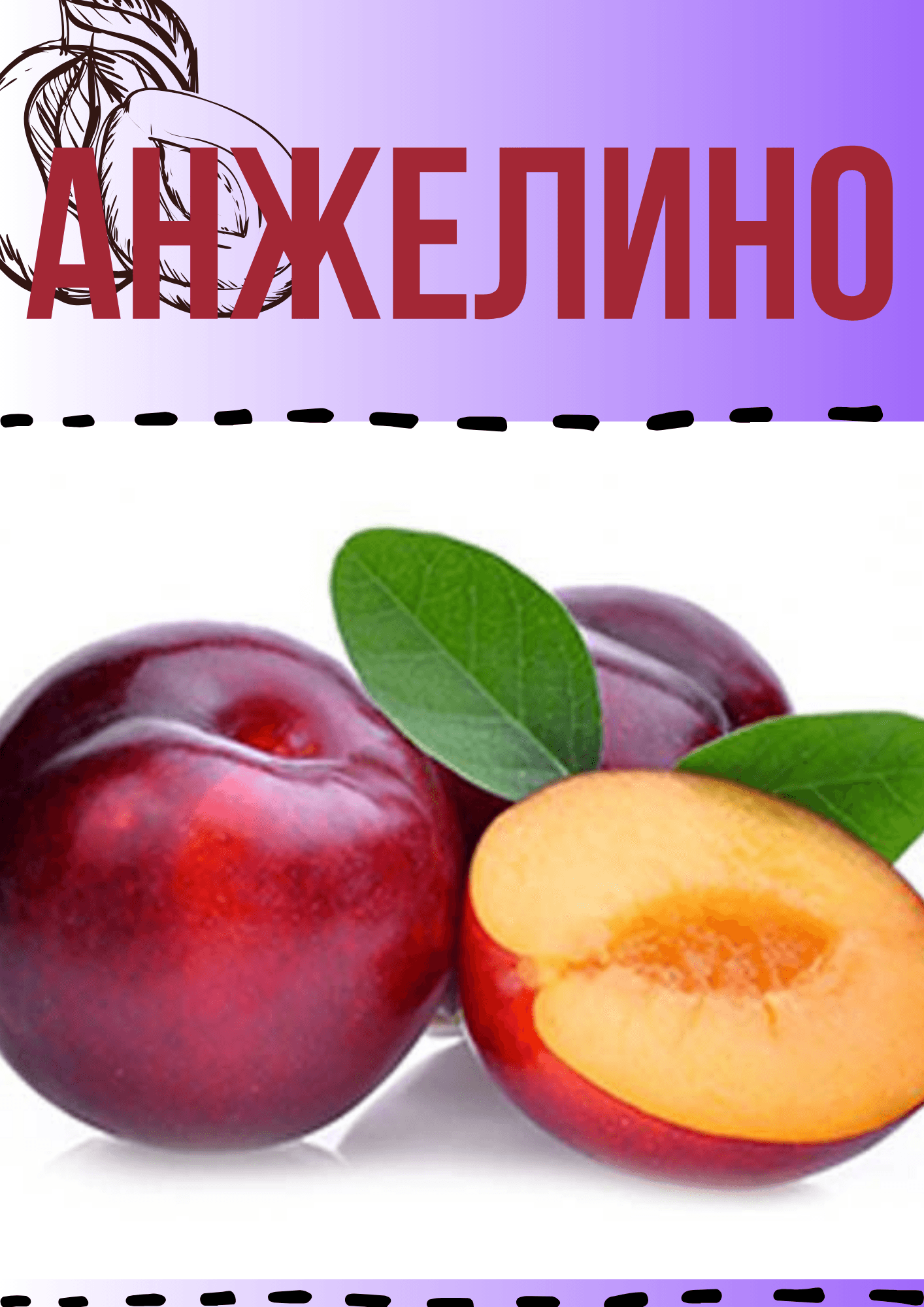 Анжелино