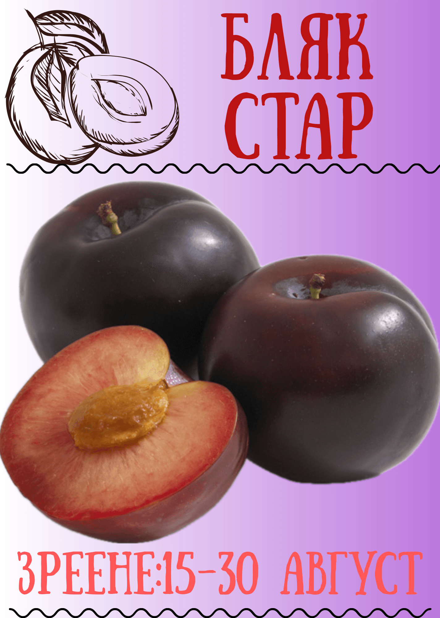 Бляк стар
